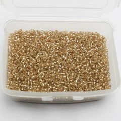 4000 pcs Champagne Color Glass Beads 2mm Silver Foil lined + Storage Box Jewelry
