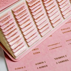UPAFEXXI-Leather Bible Tabs, Tabs for Women 80 Count (Pack of 1), Pink