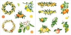 Bunches of Botanicals Sticker Book (Over 500 stickers!) – NEW