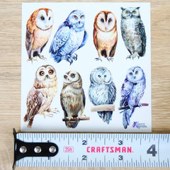 Violette Stickers – Real Owls – 1 Owl Sticker Sheet – Scrapbooks Stationery