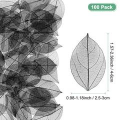 100-Pack Skeleton Leaves, Natural Rubber Tree Leaves Vein[4-6cm, Black]
