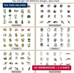 Nature Themed Transparent Pre-Cut Stickers for Scrapbooking, Pack of 240, Flora