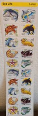 20 Pks/Sheets Stickers, Embellishments 4 Crafts, Scrapbooking Summer, Water #155