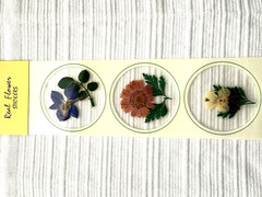 Real Pressed Flower Stickers Scrapbooking Junk Journaling 7 Unopened Packs