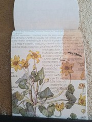 50 Pgs Vintage Series Washi Stickerbook 450+Stick 20 Pgs EPH Papers