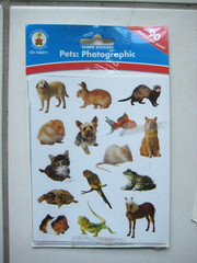 Vintage Carson-Dellosa Lot of 3 pack Shape Stickers New / Sealed