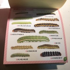 Japanese Caterpillar Stickers book 250 Stickers Shogakkan NEO