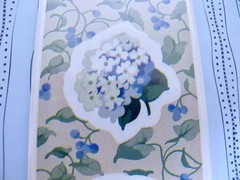 Lot/6 Vtg Hallmark Sticker Seals Floral Morning Glory Hydrangea Daffodils Garden