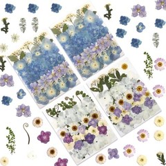 140 Pcs Dried Pressed Flowers Real Natural Blooms for Resin Art DIY Crafts Set