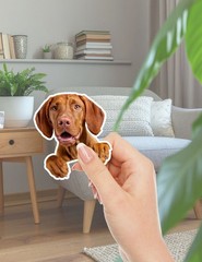 Peeking Vizsla Dog Die Cut Vinyl Stickers Set Scrapbooking Laptop Water Bottle