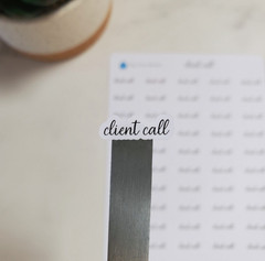 Client Call Text Stickers for Calendar and Planners | Mini Scripts