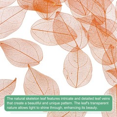 100-Pack Skeleton Leaves, Natural Rubber Tree Leaves Vein[4-6cm, Coffee]