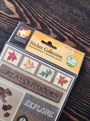 Colorbok Stickers LOT ~ Lodge Elements, Hiking Boots, Leaves Outdoors NEW #5