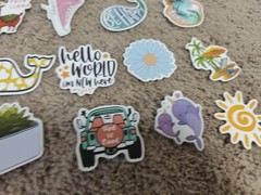 Huge Sticker Collection (CHEAP)