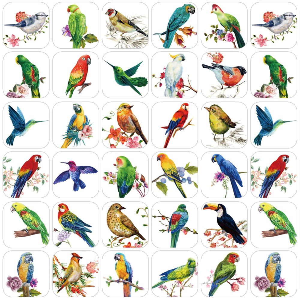 Hotop 600 Pcs Bird Stickers Vinyl Waterproof Animal Cartoon Multicolored