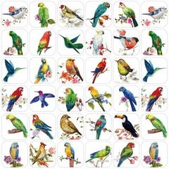 Hotop 600 Pcs Bird Stickers Vinyl Waterproof Animal Cartoon Multicolored