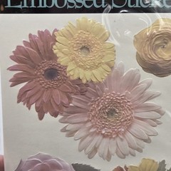 K&Company Embossed Stickers White Flowers(2) Pastel Flowers(1) Scrapbooking