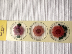 Real Pressed Flower Stickers Scrapbooking Junk Journaling 7 Unopened Packs