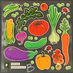 Pipsticks “State Fair” (Aug. 2025) Sticker Sheets (4x4in) FREE SHIPPING