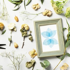 100-Pack Skeleton Leaves, Natural Rubber Tree Leaves Vein[7-9cm, Blue]