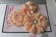 APRICOT Flower Mix Fabric Organza Satin Lace 3 Flower Pk 55-75mm NJC O3