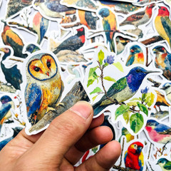 50Pcs Vintage Watercolor Bird Stickers – Aesthetic Nature Wildlife Stickers for