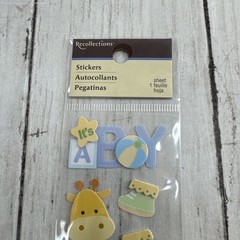 Its A Boy Baby Boy Scrapbooking Stickers by Recollections Dimensional Bib Bottle