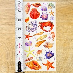 Violette Stickers – 2 Beach Seashells & Crabs Watercolor Sticker Sheets – Crafts