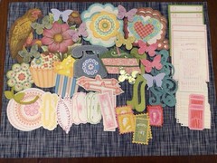 Anna Griffin Embellishment Variety Set Of 70 NEW