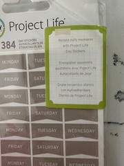 Becky Higgins Project Life Day Stickers ~ Gray ~ 384PC ~ Daily Memories Journal