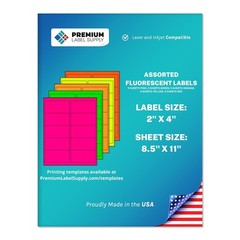 Bright Neon Color Fluorescent Stickers – 2″ x 4″ Labels – (Assorted Fluoresce…