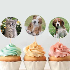600 Puppy and Kitten Stickers 1.5 Inch 16 Styles for Kids Birthday Party