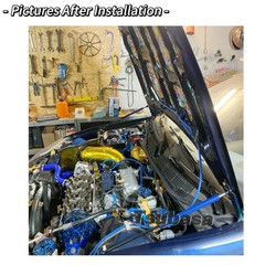 TSUBASA Lift Supports for Honda Civic Type R (EK9) 1997-2000 Front Bonnet Hoo…