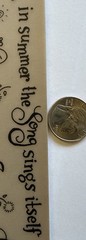BLOOM & GROW Rub-On Transfers(4-1/2”x 7-3/4”) Sunshine•Summer•Garden•Card Making