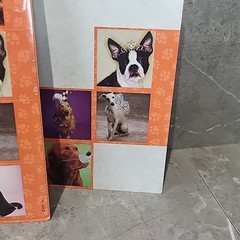 Lot Vintage Hallmark AGC Stickers Sticker Sheets Halloween Ghost Dogs Bat Witch