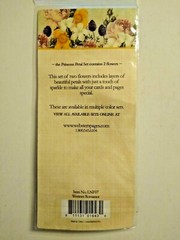 NEW Webster’s Pages Princess Petals WESTERN ROMANCE LNF07