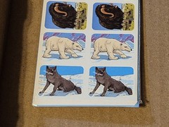 120 Polar Animal Stickers Cd-1520 Carson Dellosa Arctic Wildlife Zoo Animals