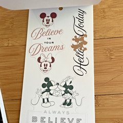 The Happy Planner – Disney – Mickey and Minnie Mouse Calendar Stickers