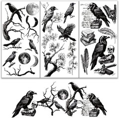 3pcs/Set Vintage Crow Rub on Transfers for Furniture and Crafts 6×12 inch Crow F