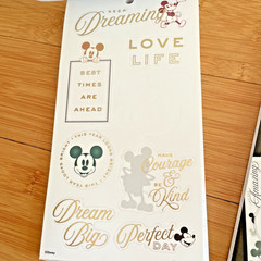 The Happy Planner – Disney – Mickey and Minnie Mouse Calendar Stickers