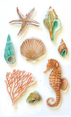 Glitter Summer Seashells 3D Epoxy Stickers Planner Supply Papercraft Crafts