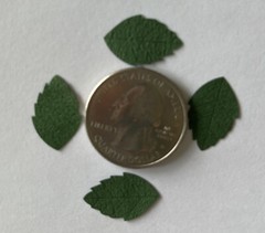 GREEN DARK ROSE LEAF Die-cut Embellishment(20pc)Jolees•Flower•Garden•Long Stem
