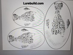 Flat Sheet Stencils: Baitfish Card Sets