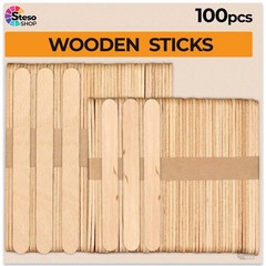 Popsicle Stick for Craft Supplies Sticks – Premium Quality 100 pcs Assorted S…