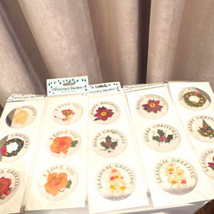 Victoria’s Garden Real Flower Stickers, Holiday Theme, Multicolor Assorted