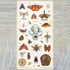 Nature Study Stickers – Animal Skull, Moths, & Insects Sticker Sheet