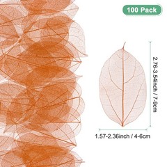 100-Pack Skeleton Leaves, Natural Rubber Tree Leaves Vein[7-9cm, Nude]