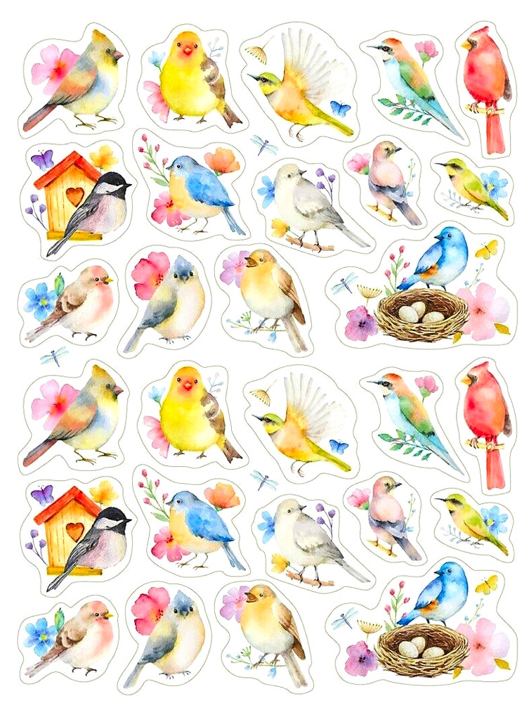 1″ – 3″ LOVELY WATERCOLOR BIRDS STICKERS #69