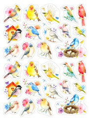 1″ – 3″ LOVELY WATERCOLOR BIRDS STICKERS #69
