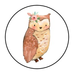 30 1.5″ WOODLAND ANIMAL GIRL OWL BABY SHOWER FAVOR LABELS ROUND STICKERS